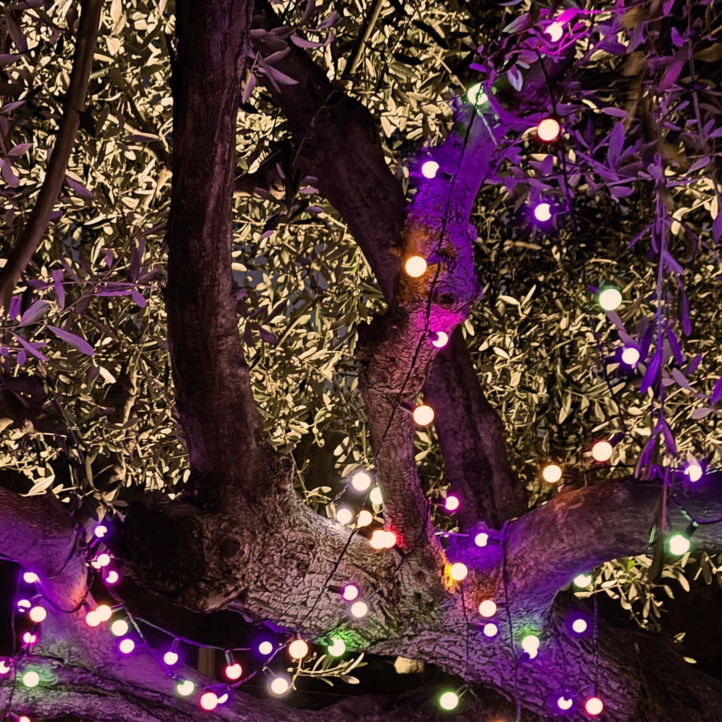 Lot de 2 guirlandes lumineuses solaires 100 ampoules rondes multicolores LED BILLY RGB 10,90m