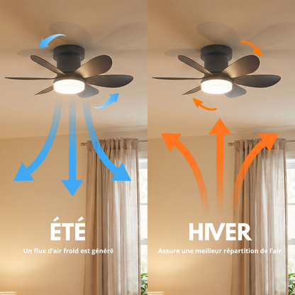 Ventilateur de Plafond 52cm avec Lampe LED MISTRAL Petit Ventilateur Silencieux Chambre Enfant Bureau Cuisine Moteur DC Basse Consommation Réversible Ete Hiver avec Telecommande Noir