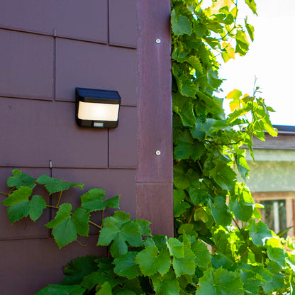 Applique murale solaire TRY SOLAR aluminium noir LED blanc avec détecteur de mouvement H6,9cm