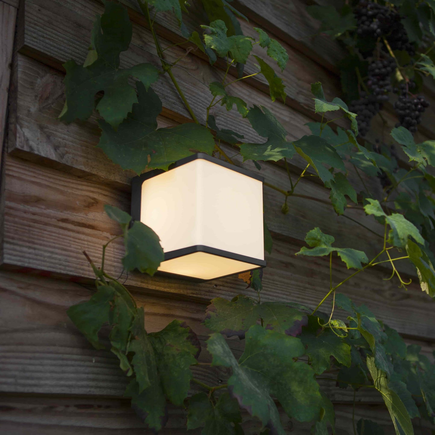 Applique murale d'extérieur sur secteur DOBLO CUBE GREY aluminium gris LED blanc neutre H10cm